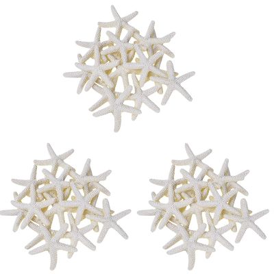 30 Pieces Creamy-White Pencil Finger Starfish for Wedding Decor, Home Decor and Craft Project