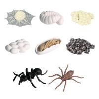 Mini Spider Figurines 8pcs Mini Spider Lifespan Models Set Vivid Spider Toy Educational Multifunction For Boys Children Kids current