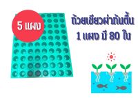 ถ้วยปลูกเขียว    80-400 ใบ