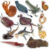 ยุคก่อนประวัติศาสตร์ Marine Sea Life สัตว์ Nautilus Cameroceras Opabinia Trilobita Figurines ตัวเลขรุ่นตุ๊กตา