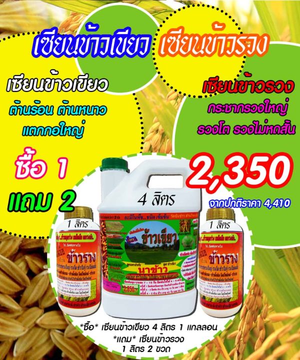 พร้อมส่ง-เซียนข้าวเขียว-4ลิตร-แถมเซียนข้าวรวง-1-ลิตร-2ขวด-ฮอร์โมนข้าว-ปุ๋ยฉีดข้าว-เร่งต้น-เร่งใบ-ปุ๋ยฉีดทางใบ-ปุ๋ยน้ำ-ฮอร์โมนพืช