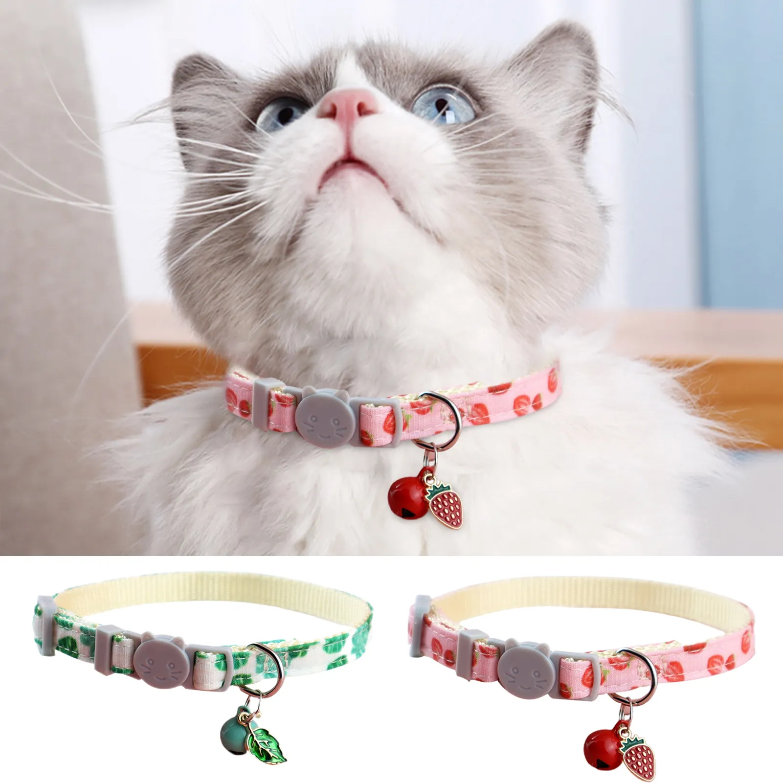 can cats wear small dog collars