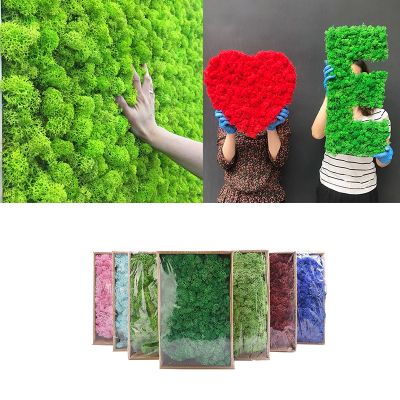 [AYIQ Flower Shop] 20/40กรัมประดิษฐ์มอสธรรมชาติสีเขียวพืชสร้างสรรค์บ้านพื้นหลังผนังตกแต่งสวน DIY การจัดดอกไม้อุปกรณ์
