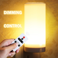 LED Night Light Stepless Dimming EUUS Plug Socket Wall Lamp With Timing Function Remote For Home Bedroom Bedside