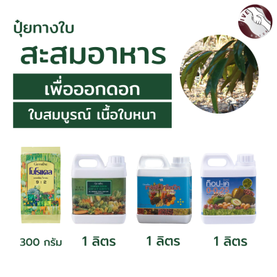 #เซทปุ๋ยกิฟฟารีน #ชุดสะสมอาหารเพื่อการออกดอก #สร้างใบเขียว #เตรียมออกดอก #ปุ๋ยเพิ่มการออกดอก #ฮอร์โมนพืช #ปุ๋ยกิฟฟารีน ของแท้100%