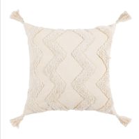 Beige Geometric Embrpidery Pillow Cover Tassels Decoration Cushion Cover 45x45cm30x50cm Home Sofa Pilow Case Pillow Sham