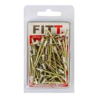 ตะปูอะลูมิเนียมยิงรีเวท FITT #4-2 70 ตัวALUMINUM RIVETS FITT NO.4-2 70EA **บริการเก็บเงินปลายทาง**