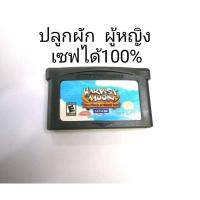 ตลับบอย harvest moon / ภาคผู้หญิง บริการเก็บเงินปลายทาง