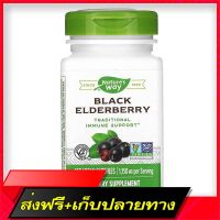 Fast and Free Shipping Natures Way, Black Elderberry 575 mg 100 Vegetarian Capsules Ship from Bangkok