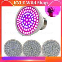 KYLE Wild Shop LED Led Grow Light Plant Phyto Lamp Bulbs E27 Phytolamp Full Spectrum Indoor Flower Lighting Hydroponic Tent