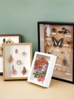 [Fast delivery]High-end Hollow dried flower photo frame animal and plant specimen frame eternal flower shell preservation frame diy table three-dimensional handmade picture frame