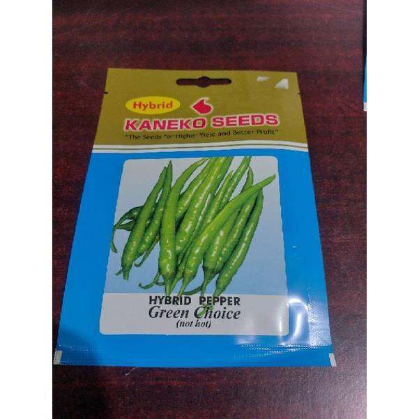 Green Choice 120 Seeds Hybrid Pepper Siling Panigang By Kaneko