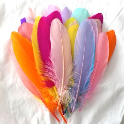Shell Pink Hard Stick Natural Goose Feathers for Clothes 15 20cm Home Decoration Accessories Feathers for Jewelry Making Decor