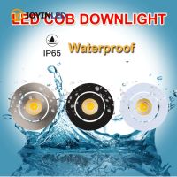 Factory Price Recessed LED Waterproof IP65 Dimmable COB Downlight Outdoor 3W AC90-260V LED Ceilin Light. LED Transparency