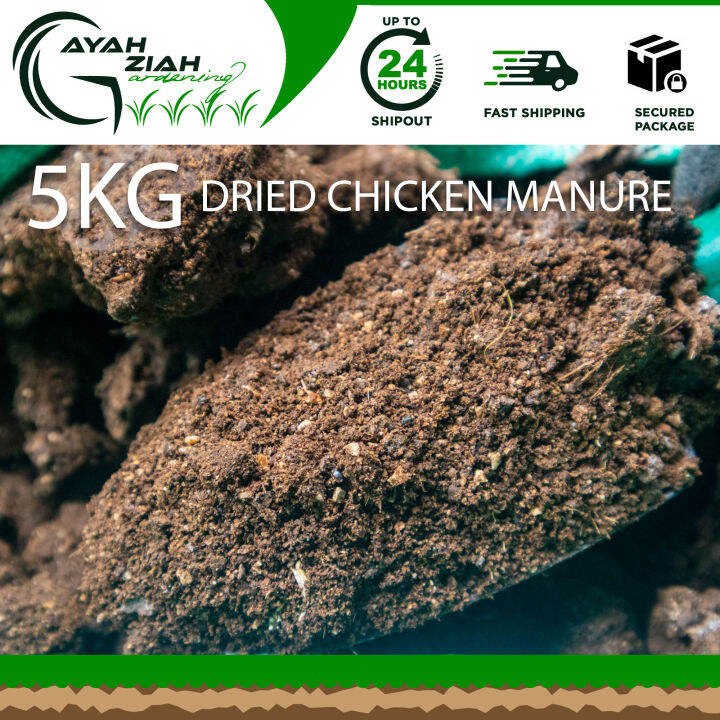 cod 5 KG Dried Chicken Manure Fertilizer ( Direct Supplier ) 1 Sack