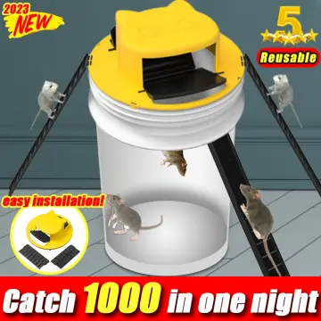 Plastic Pest Controller, Plastic Live Catcher, Reusable Mouse Trap