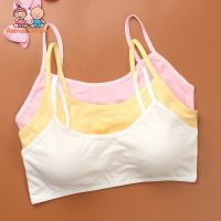 [HOT YUHIIIXWQQW 568] 3ชิ้น/ล็อต Girls Teens Teenage Underwear Sport Children Cotton Puberty Kids Bras 8-14Years