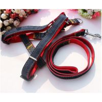 Helios Dog Harness &amp; Leash  สายจูงสุนัข พร้อมที่รัดอก  Size M,L