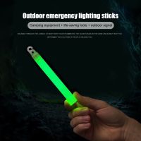 【CW】 Sticks Bulk Tube the Dark for Hiking Camping Emergency Concert Stick