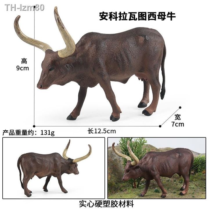 ของขวัญ-ankola-watusi-bull-รุ่น-solid-จำลองสัตว์รุ่นสัตว์ปีก-ranch-เด็กของเล่นเพื่อการศึกษาก่อนวัยอันควร