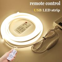 DC5V USB PIR Motion Sensor Kitchen LED Strip Hand Sweep Waving ON OFF RF Remote Control Flexible neon night light cabinet stripe