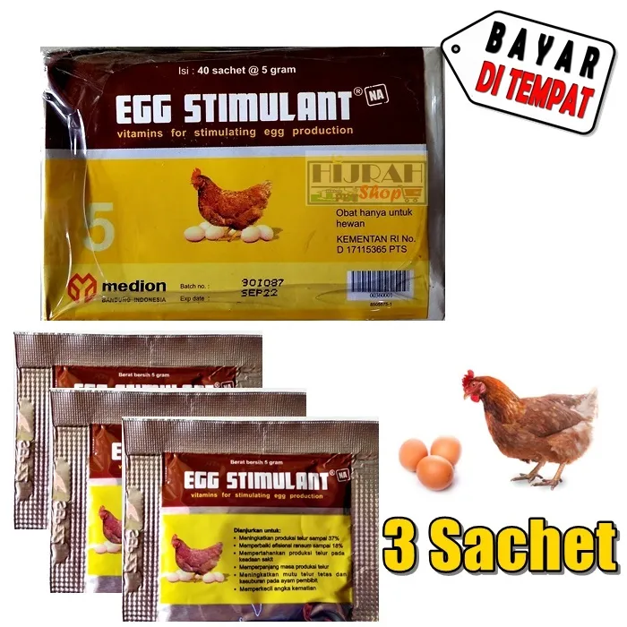 Obat Ayam Vitamin Ayam Suplemen Ayam Pemacu Peningkat Produksi Telur Pemicu  Ayam Petelur EGG STIMULANT - Kemasan 5 Gr ISI 3 Pcs - Hijrah Pet Shop |  Lazada Indonesia