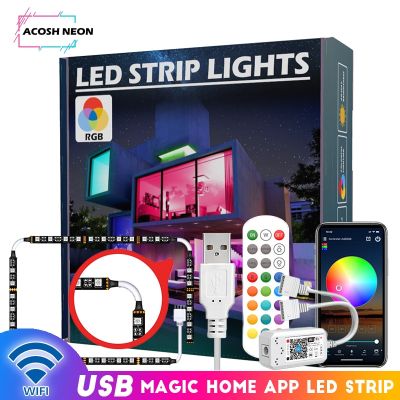 Waterproof LED Strip With Magic Home APP Control USB Powered RGB LED Light Strip With 24 Keys Remote for Mirror 55 inch TV PC LED Strip Lighting