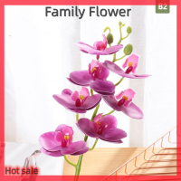 Family Flower Flash Sale ผ้าไหมเทียมผีเสื้อกล้วยไม้ดอกไม้ phalopsis ช่อตกแต่งบ้าน