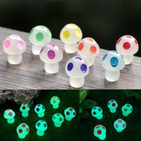 【CC】☽☏☍  5-20 Pcs Moss Landscape Ornaments Glowing Potted Ornament Miniature Gardening Garden