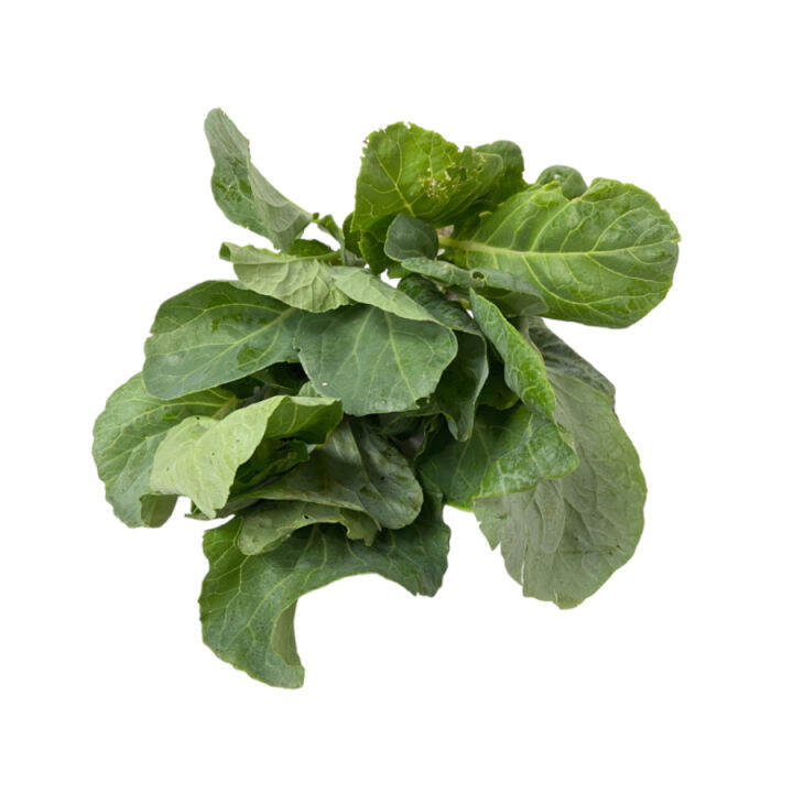 Organic Chinese Kale "Kailan" (200250g) Lazada PH