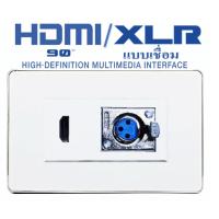 โปรโมชั่น Wall Plate HDMI (90 องศา)+XLR(2ช่อง)(รับประกัน1 ปี) ออกใบกำกับภาษีได้ ราคาถูก สายดิจิตอล สายHDMI สายทีวี สายสัญญาณทีวี