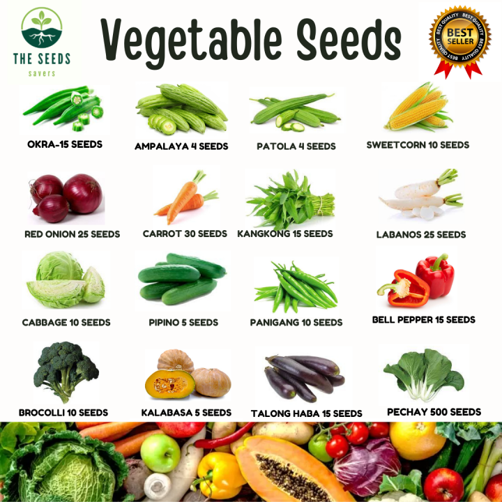 VEGETABLE SEEDS / HIGH QUALITY ( Mustasa | Pechay | Kangkong | Carrot ...