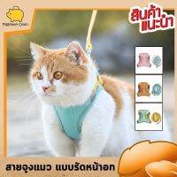 Cataccessories สายจูงแมว แบบผ้าคาดหน้าอก ชุดและสายจูง สำหรับแมวโต  มีให้เลือก3ไซส์ 3 สี