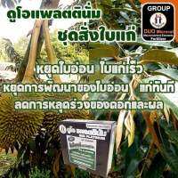 ชุดสั่งใบเเก่ (ขนาด 1 ลิตร 3ขวด)หยุดใบอ่อน ใบอ่อนเเก่เร็ว หยุดการพัฒนาของใบอ่อน เเก่ทันที ลดการหลุดร่วงของดอกเเละผล