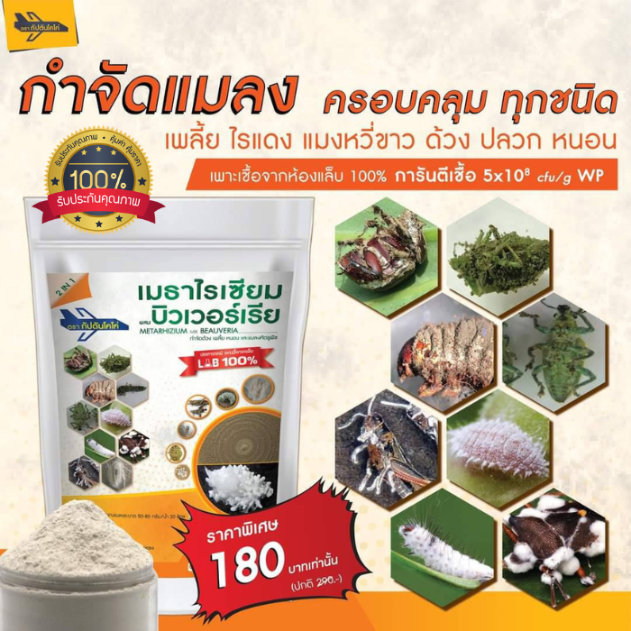 กัปตัน-เมธา-บิว-1-ซอง-500-กรัม-บิวเวอร์เรีย-เมธาไรเซียม-กำจัด-ด้วง-เพลี้ย-แมลงศัตรูพืช