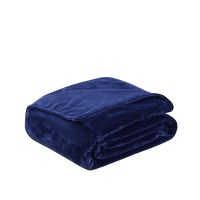 Home Textile Blue Solid Air/Sofa/Bedding Throws Flannel Blanket Winter Warm Soft Bedsheet 100x140cm/150/180x200cm/200x230cm