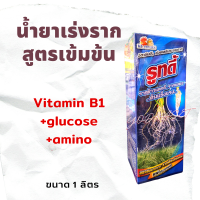 รูทดี้ น้ำยาเร่งราก สูตรเข้มข้นพิเศษ ขนาด 1 ลิตร Vitamin B1+glucose+amino