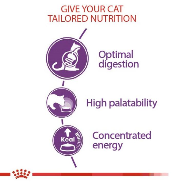 หมดกังวน-จัดส่งฟรี-royal-canin-sensible-อาหารแมวโต-มีปัญหาเรื่องการย่อยอาหาร-อายุ-1-ปีขึ้นไป-ขนาด-4-กิโลกรัม-เก็บเงินปลายทาง