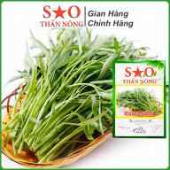 Hạt giống rau muống lá tre Việt Nam sinh trưởng khỏe phát triển mạnh mẽ tỉ thumbnail