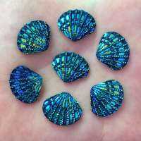 20pcs AB Resin Shell Flatback Rhinestone Scrapbook DIY Wedding Ornaments R954 Haberdashery