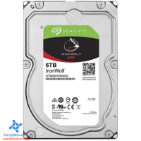 SEAGATE IRONWOLF 6TB NAS HDD 7200RPM CACHE 256MB (ST6000VN0033_3Y) (กรุณาทักแชทเพื่อเช็คสต็อกก่อนสั่งซื้อ)