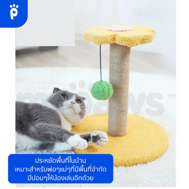 my-paws-คอนโดแมวผ้า-สีสันสดใส-เสาลับเล็บแมวสีน่ารัก-เสาลับเล็บพร้อมที่นอน