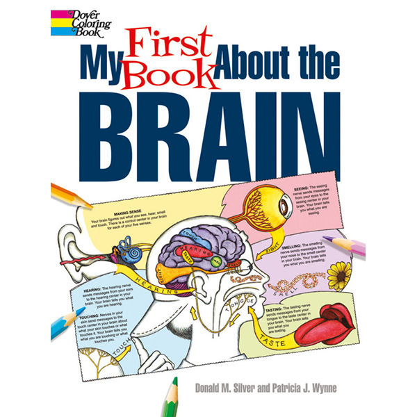 my-first-book-about-the-brain-8-14-years-old