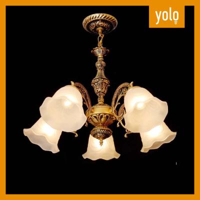 Yolo โคมไฟแขวนเพดานสวยงาม โคมไฟช่อ ไม่รวมหลอดไฟ (D8042)