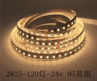 5M LED strip light ไฟเส็น SMD 2835 DC 24V 120LED/M IP20 วอร์ม ไวล์(  2800K-3200K) ใช้ตกแต่งภายใน ตกแต่งฝ้า ตัวโชว์ เฟอร์