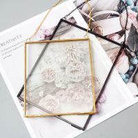 Retro Metal Photo Frame Transparent Glass Picture Frame Plant Specimen Clip Decoration Nordic Minimalist Wall Photo Frame Gold