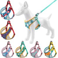 Reflective Pet Dog Harness And Leash Set Comfort Breathable Pet Harness Printed Dog Harness for Small Medium Dogs Pet Supplies Leashes