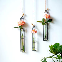 Wall Hanging Flower Vase Iron Art Glass Hydroponics Planter Pot Transparent Test Tube Bottle Pendants for Home Decoration Crafts