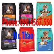 [Bao 20KG] Thức ăn cho chó Ganador Adult Puppy , FIB s , Cừu , Trứng Sữa , Cá Hồi , Sữa DHA Đủ Loại thumbnail