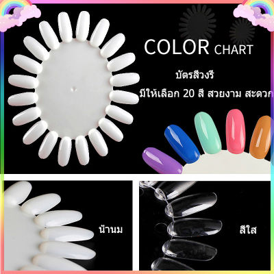 ชาร์ตสีทาเล็บ ที่ลองเล็บ Chart ชาร์ตสี วงรี 20สี สีทาเล็บสำหรับทาสีให้ลูกค้าเลือก